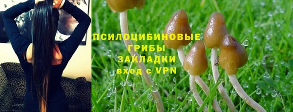 apvp Мегион